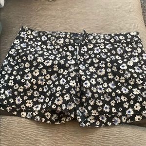 American Eagle Shorts- Size 6